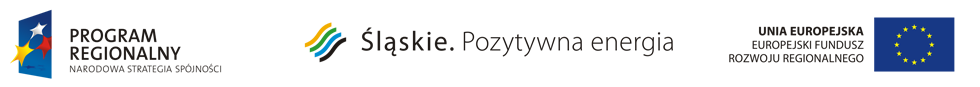 Program Regionalny - Narodowa Strategia Spójności; Śląskie. Pozytywna energia; Unia Europejska. Europejski Fundusz Rozwoju Regionalnego